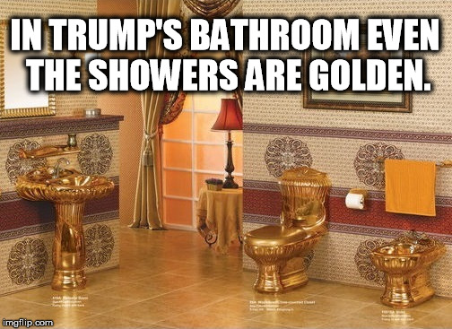 Trump loves his golden showers. | IN TRUMP'S BATHROOM EVEN THE SHOWERS ARE GOLDEN. | image tagged in donald trump | made w/ Imgflip meme maker