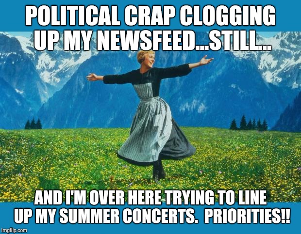 the sound of music happiness | POLITICAL CRAP CLOGGING UP MY NEWSFEED...STILL... AND I'M OVER HERE TRYING TO LINE UP MY SUMMER CONCERTS.  PRIORITIES!! | image tagged in the sound of music happiness | made w/ Imgflip meme maker