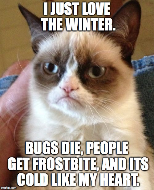 Grumpy Cat Meme | I JUST LOVE THE WINTER. BUGS DIE, PEOPLE GET FROSTBITE, AND ITS COLD LIKE MY HEART. | image tagged in memes,grumpy cat | made w/ Imgflip meme maker
