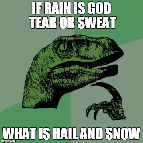 Philosoraptor Meme | IF RAIN IS GOD TEAR OR SWEAT; WHAT IS HAIL AND SNOW | image tagged in memes,philosoraptor | made w/ Imgflip meme maker