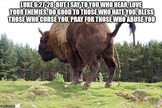 Biblical B.S. | LUKE 6:27-28  BUT I SAY TO YOU WHO HEAR, LOVE YOUR ENEMIES, DO GOOD TO THOSE WHO HATE YOU, BLESS THOSE WHO CURSE YOU, PRAY FOR THOSE WHO ABUSE YOU | image tagged in biblical bullshit,bible,god,jesus christ | made w/ Imgflip meme maker