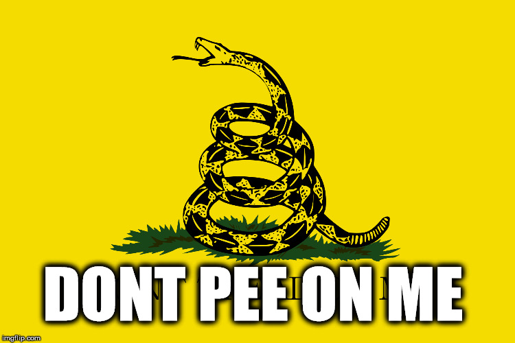dont pee on me | DONT PEE ON ME | image tagged in trump,pee,golden,shower,russia | made w/ Imgflip meme maker