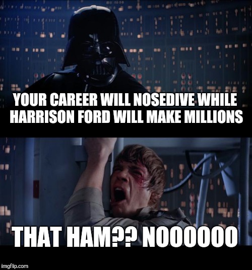 Star Wars No Meme | YOUR CAREER WILL NOSEDIVE WHILE HARRISON FORD WILL MAKE MILLIONS; THAT HAM?? NOOOOOO | image tagged in memes,star wars no | made w/ Imgflip meme maker