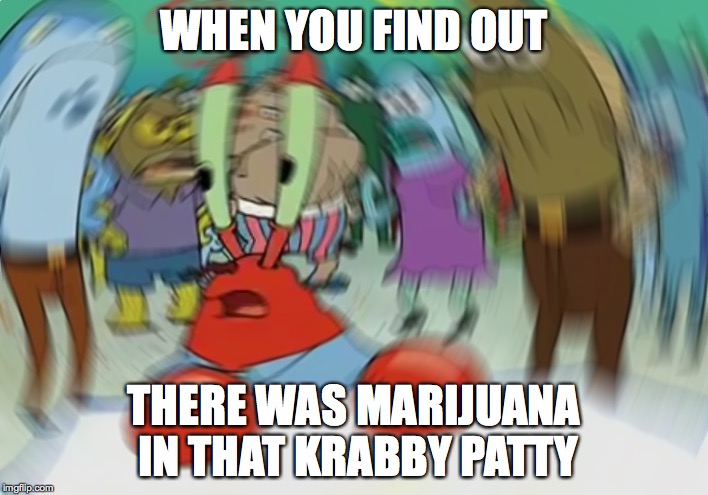 Mr Krabs Blur Meme | WHEN YOU FIND OUT; THERE WAS MARIJUANA IN THAT KRABBY PATTY | image tagged in memes,mr krabs blur meme | made w/ Imgflip meme maker
