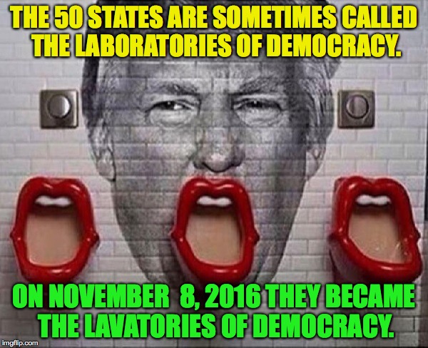 Trump Urinal | THE 50 STATES ARE SOMETIMES CALLED THE LABORATORIES OF DEMOCRACY. ON NOVEMBER  8, 2016 THEY BECAME THE LAVATORIES OF DEMOCRACY. | image tagged in donald trump,urinal | made w/ Imgflip meme maker