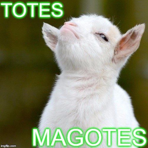TOTES; MAGOTES | image tagged in tm | made w/ Imgflip meme maker