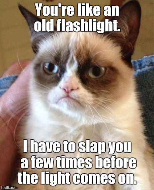 Grumpy Cat Meme | You're like an old flashlight. I have to slap you a few times before the light comes on. | image tagged in memes,grumpy cat | made w/ Imgflip meme maker