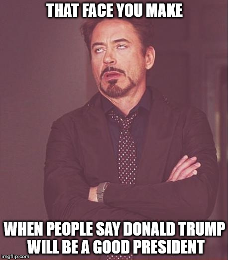 Face You Make Robert Downey Jr | THAT FACE YOU MAKE; WHEN PEOPLE SAY DONALD TRUMP WILL BE A GOOD PRESIDENT | image tagged in memes,face you make robert downey jr | made w/ Imgflip meme maker