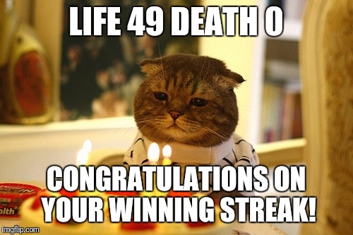 Cake Cat | LIFE 49 DEATH 0; CONGRATULATIONS ON YOUR WINNING STREAK! | image tagged in birthday | made w/ Imgflip meme maker