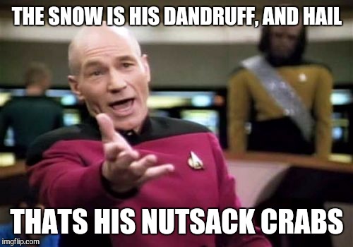 Picard Wtf Meme | THE SNOW IS HIS DANDRUFF, AND HAIL THATS HIS NUTSACK CRABS | image tagged in memes,picard wtf | made w/ Imgflip meme maker