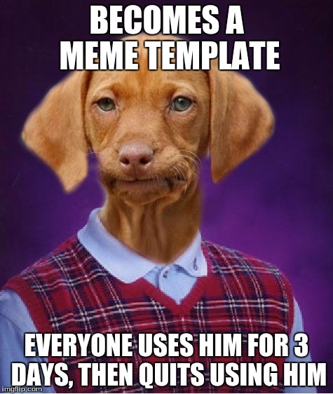 Bad Luck Raydog |  BECOMES A MEME TEMPLATE; EVERYONE USES HIM FOR 3 DAYS, THEN QUITS USING HIM | image tagged in bad luck raydog | made w/ Imgflip meme maker