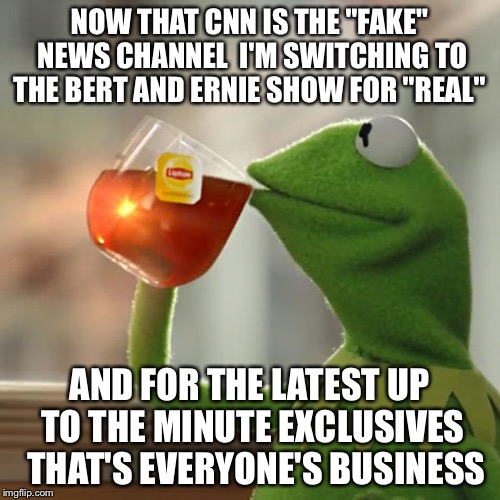 KNN News Network - A "Real" Alternative From CNN  | NOW THAT CNN IS THE "FAKE" NEWS CHANNEL  I'M SWITCHING TO THE BERT AND ERNIE SHOW FOR "REAL"; AND FOR THE LATEST UP TO THE MINUTE EXCLUSIVES  THAT'S EVERYONE'S BUSINESS | image tagged in memes,but thats none of my business,kermit the frog,cnn,journalism | made w/ Imgflip meme maker