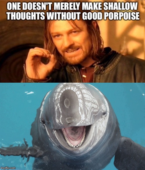 Good Porpoise! | image tagged in poirpose,one does not simply | made w/ Imgflip meme maker