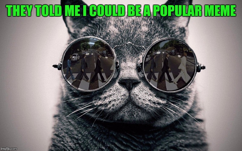 Beatles cat | THEY TOLD ME I COULD BE A POPULAR MEME | image tagged in beatles cat | made w/ Imgflip meme maker