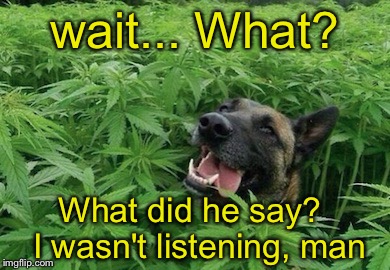 wait... What? What did he say?  I wasn't listening, man | made w/ Imgflip meme maker