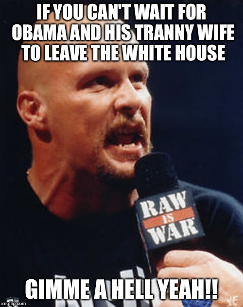 IF YOU CAN'T WAIT FOR OBAMA AND HIS TRANNY WIFE TO LEAVE THE WHITE HOUSE; GIMME A HELL YEAH!! | image tagged in stone cold steve austin | made w/ Imgflip meme maker