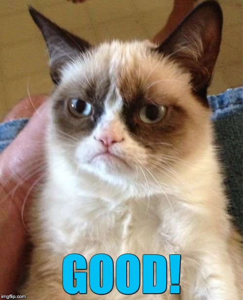 Grumpy Cat Meme | GOOD! | image tagged in memes,grumpy cat | made w/ Imgflip meme maker