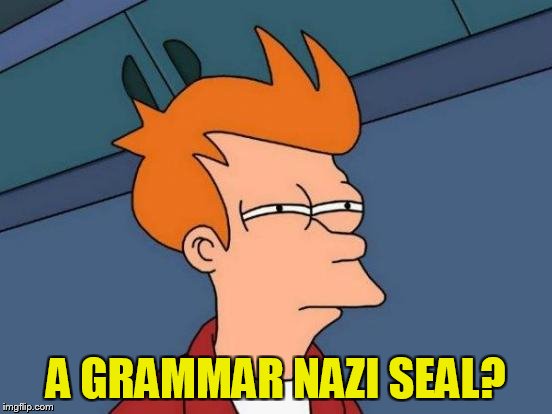 Futurama Fry Meme | A GRAMMAR NAZI SEAL? | image tagged in memes,futurama fry | made w/ Imgflip meme maker