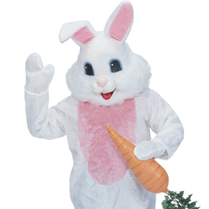 Easter Bunny  Blank Meme Template