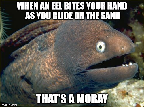 Sing it with me... | WHEN AN EEL BITES YOUR HAND AS YOU GLIDE ON THE SAND; THAT'S A MORAY | image tagged in memes,bad joke eel | made w/ Imgflip meme maker