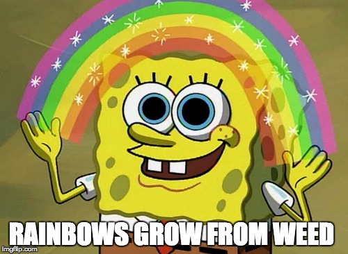 Imagination Spongebob | RAINBOWS GROW FROM WEED | image tagged in memes,imagination spongebob | made w/ Imgflip meme maker