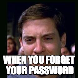 nooooooooo | WHEN YOU FORGET YOUR PASSWORD | image tagged in cry babysdsd | made w/ Imgflip meme maker