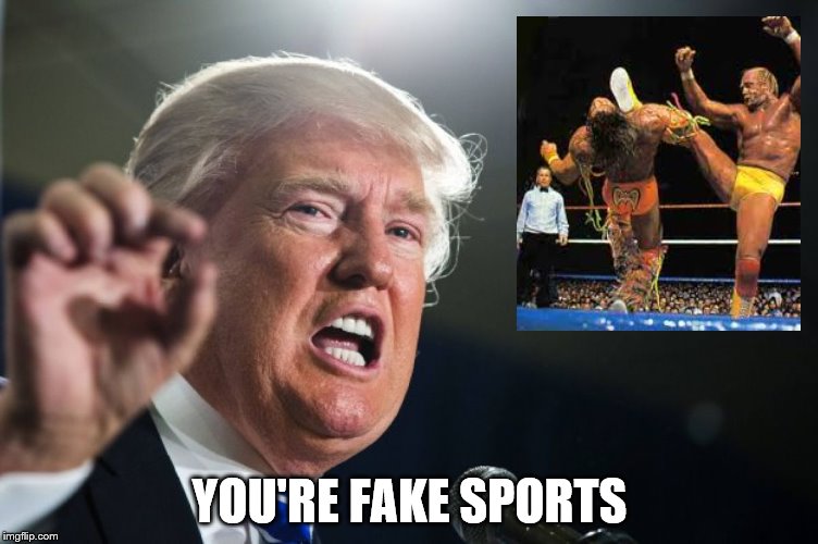 Trump...Not Only Calling Out CNN | YOU'RE FAKE SPORTS | image tagged in donald trump,memes,funny memes | made w/ Imgflip meme maker