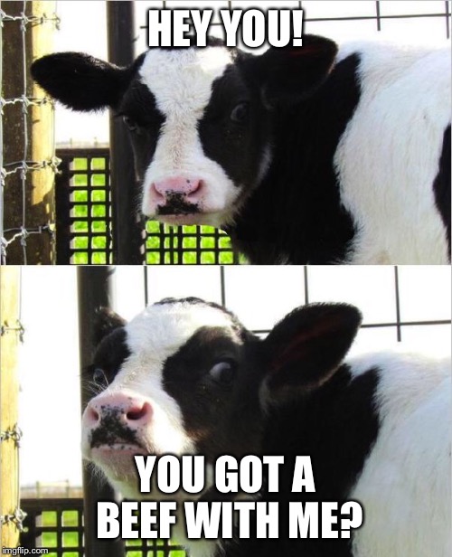 You got a beef? | HEY YOU! YOU GOT A BEEF WITH ME? | image tagged in cows | made w/ Imgflip meme maker