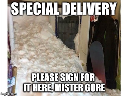 Payback, Biatch! | SPECIAL DELIVERY; PLEASE SIGN FOR IT HERE, MISTER GORE | image tagged in al gore,global warming,snow day | made w/ Imgflip meme maker