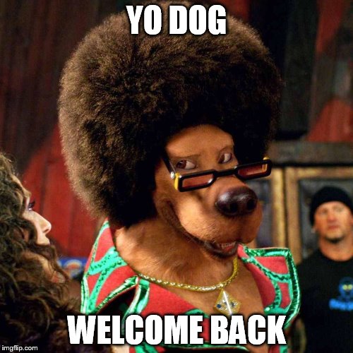 Rafro | YO DOG; WELCOME BACK | image tagged in rafro | made w/ Imgflip meme maker