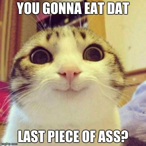 YOU GONNA EAT DAT; LAST PIECE OF ASS? | image tagged in smiling cat | made w/ Imgflip meme maker