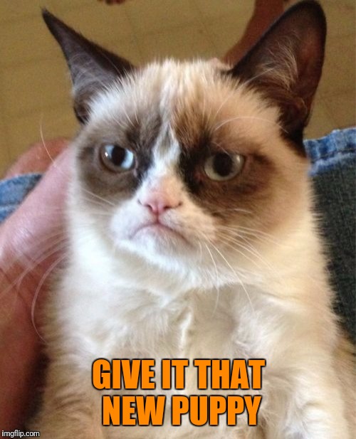 Grumpy Cat Meme | GIVE IT THAT NEW PUPPY | image tagged in memes,grumpy cat | made w/ Imgflip meme maker