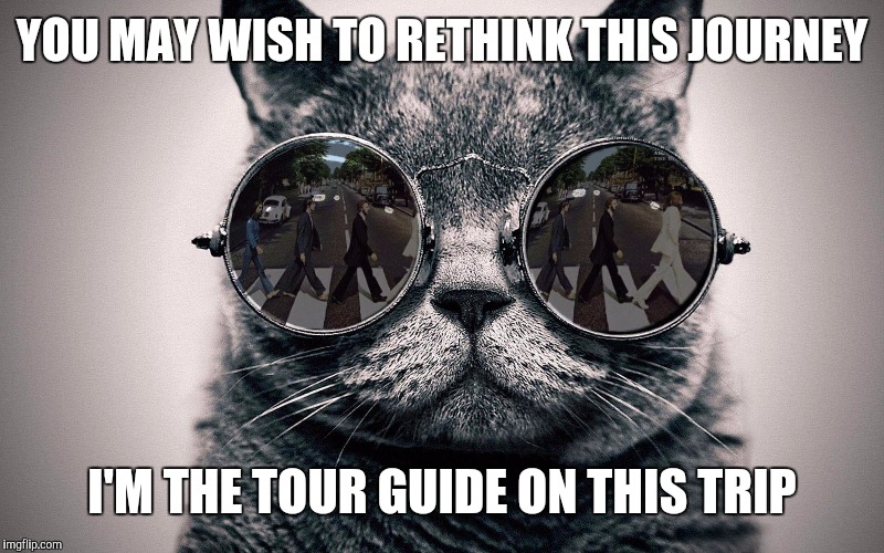 Beatles cat | YOU MAY WISH TO RETHINK THIS JOURNEY I'M THE TOUR GUIDE ON THIS TRIP | image tagged in beatles cat | made w/ Imgflip meme maker