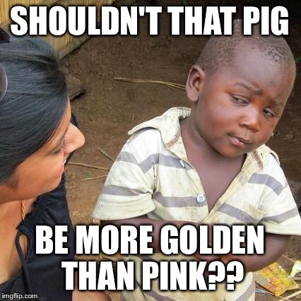 Third World Skeptical Kid Meme | SHOULDN'T THAT PIG BE MORE GOLDEN THAN PINK?? | image tagged in memes,third world skeptical kid | made w/ Imgflip meme maker