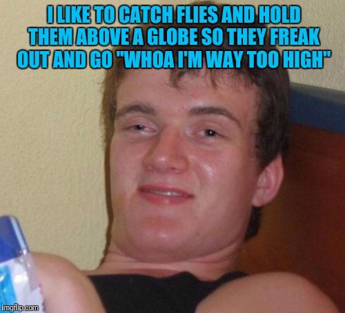 10 Guy | I LIKE TO CATCH FLIES AND HOLD THEM ABOVE A GLOBE SO THEY FREAK OUT AND GO "WHOA I'M WAY TOO HIGH" | image tagged in memes,10 guy | made w/ Imgflip meme maker