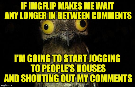 Weird Stuff I Do Potoo | IF IMGFLIP MAKES ME WAIT ANY LONGER IN BETWEEN COMMENTS; I'M GOING TO START JOGGING TO PEOPLE'S HOUSES AND SHOUTING OUT MY COMMENTS | image tagged in memes,weird stuff i do potoo | made w/ Imgflip meme maker
