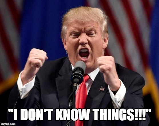 Ignorance is bliss... | "I DON'T KNOW THINGS!!!" | image tagged in donald trump,humor | made w/ Imgflip meme maker