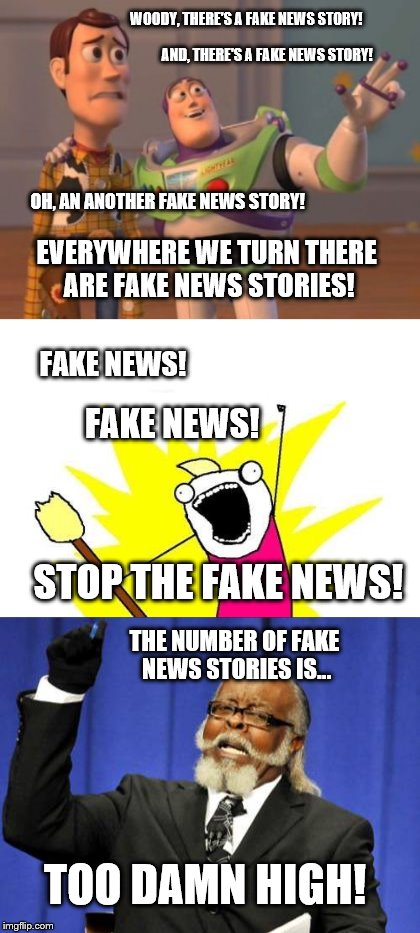 What is the general consensus about 'fake news'?  | WOODY, THERE'S A FAKE NEWS STORY! AND, THERE'S A FAKE NEWS STORY! OH, AN ANOTHER FAKE NEWS STORY! EVERYWHERE WE TURN THERE ARE FAKE NEWS STORIES! FAKE NEWS! FAKE NEWS! STOP THE FAKE NEWS! THE NUMBER OF FAKE NEWS STORIES IS... TOO DAMN HIGH! | image tagged in memnes,fake news,donald trump approves,election 2016 aftermath,mainstream media,stop the madness | made w/ Imgflip meme maker