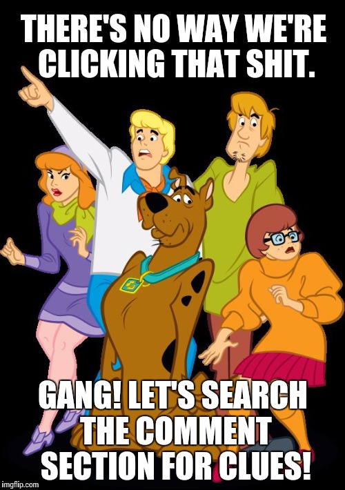 Scooby Doo Gang | THERE'S NO WAY WE'RE CLICKING THAT SHIT. GANG! LET'S SEARCH THE COMMENT SECTION FOR CLUES! | image tagged in scoopy doo gang,memes,comment section,it came from the comments,searching | made w/ Imgflip meme maker