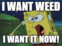 spongebob screaming | I WANT WEED; I WANT IT NOW! | image tagged in spongebob screaming | made w/ Imgflip meme maker