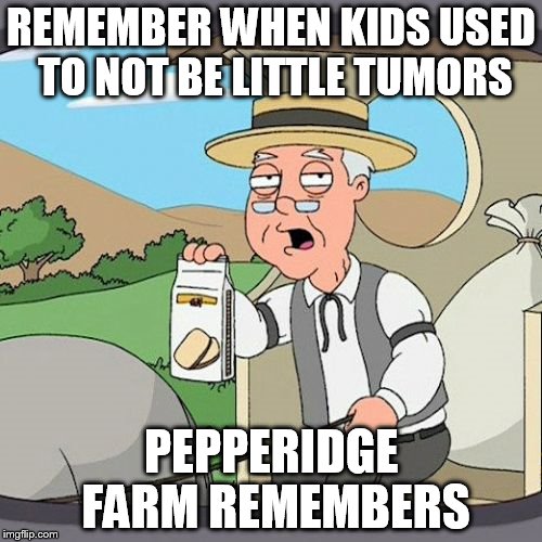 Pepperidge Farm Remembers Meme | REMEMBER WHEN KIDS USED TO NOT BE LITTLE TUMORS; PEPPERIDGE FARM REMEMBERS | image tagged in memes,pepperidge farm remembers | made w/ Imgflip meme maker