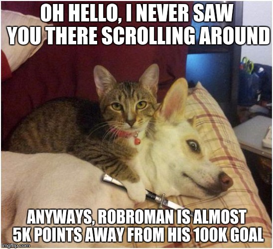 almost there! | OH HELLO, I NEVER SAW YOU THERE SCROLLING AROUND; ANYWAYS, ROBROMAN IS ALMOST 5K POINTS AWAY FROM HIS 100K GOAL | image tagged in warning killer cat,100k goal,goals,rablerablerablerable | made w/ Imgflip meme maker