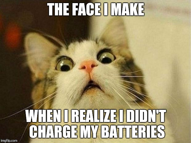 Scared Cat Meme | THE FACE I MAKE; WHEN I REALIZE I DIDN'T CHARGE MY BATTERIES | image tagged in memes,scared cat | made w/ Imgflip meme maker