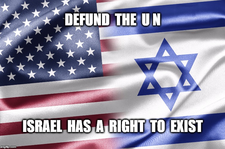Israel | DEFUND  THE  U N; ISRAEL  HAS  A  RIGHT  TO  EXIST | image tagged in israel | made w/ Imgflip meme maker
