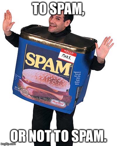 Salty or Factory Recall? | TO SPAM, OR NOT TO SPAM. | image tagged in spam,spammer,meat | made w/ Imgflip meme maker