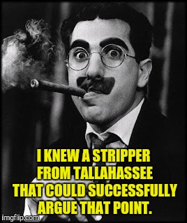 I KNEW A STRIPPER FROM TALLAHASSEE THAT COULD SUCCESSFULLY ARGUE THAT POINT. | made w/ Imgflip meme maker