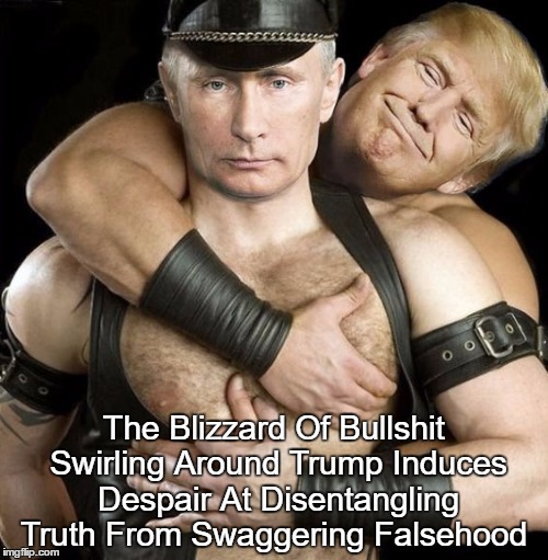 Trump's Blizzard Of Bullshit And The Corrosion Of Traditional Norms | The Blizzard Of Bullshit Swirling Around Trump Induces Despair At Disentangling Truth From Swaggering Falsehood | image tagged in trump's lies,trump's falsehood,trump's manipulation | made w/ Imgflip meme maker