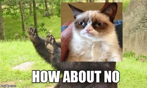 When someone asks for upvotes... | image tagged in memes,how about no bear,grumpy cat | made w/ Imgflip meme maker