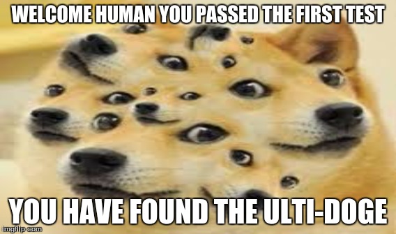 The ulti-doge tests | WELCOME HUMAN YOU PASSED THE FIRST TEST; YOU HAVE FOUND THE ULTI-DOGE | image tagged in doges | made w/ Imgflip meme maker