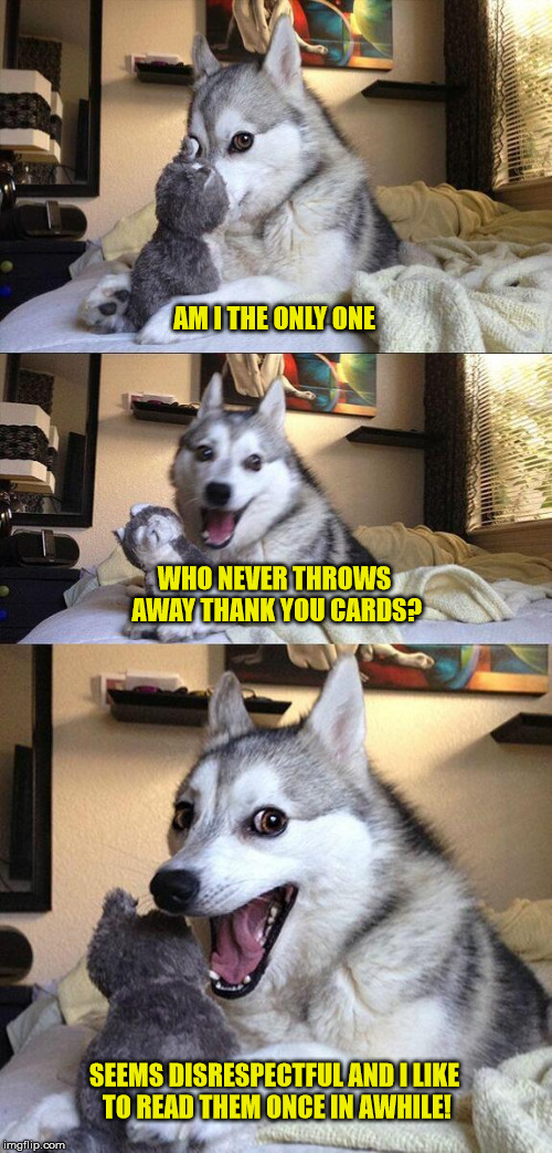 Bad Pun Dog | AM I THE ONLY ONE; WHO NEVER THROWS AWAY THANK YOU CARDS? SEEMS DISRESPECTFUL AND I LIKE TO READ THEM ONCE IN AWHILE! | image tagged in memes,bad pun dog | made w/ Imgflip meme maker